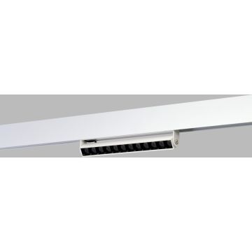 Azzardo ALFA CYRUS Magnetic AZ6508 Projecteur sur rail 1x12W/LED 3000 / 4000 / 6000k IP20