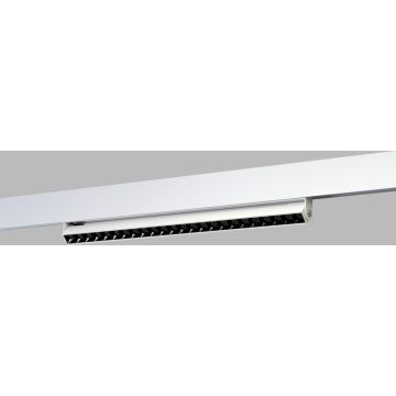 Azzardo ALFA CYRUS Magnetic AZ6509 Projecteur sur rail 1x24W/LED 3000 / 4000 / 6000k IP20