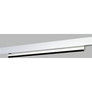 Azzardo ALFA CYRUS Magnetic AZ6510 Projecteur sur rail 1x36W/LED 3000 / 4000 / 6000k IP20