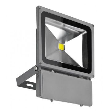 AZzardo FLOOD LIGHT AZ1201 Projecteur halogène 1x80W/LED 4200K 5600LM IP65