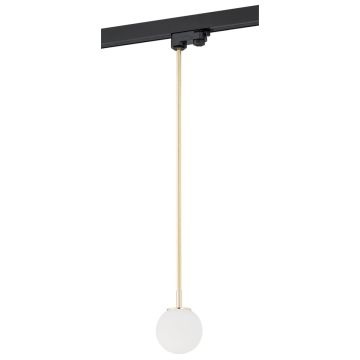 Argon BANG 4308 Suspension lumineuse 1x6W/G9 IP20