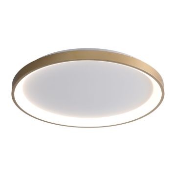 Italux Raden CLN-3151-M-GD Plafonnier 1x50W/LED 3000K|4000K|6000K 2900lm IP20