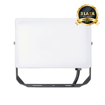 Eko Light FLOODLIGHT EKN9016 Projecteur halogène 1x50W/LED 5000K 5000lm IP65