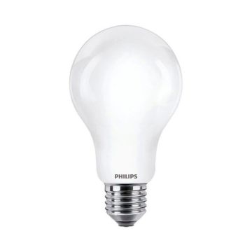 Eko-Light BULB EKZPH531 Ampoule 1x13W/E27 4000K 2000LM