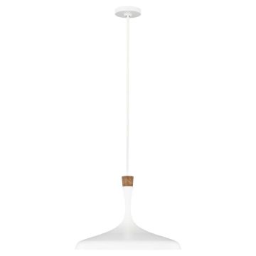 Feiss DARWIN FE-DARWIN-P Suspension lumineuse 1x60W/E27