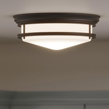 Hinkley Lighting HADLEY HK-HADLEY-F-OZ Plafonnier 3x60W/E27