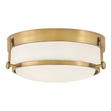 Hinkley Lighting Harper HK-HARPER-F-HB Plafonnier 3x60 W/E27