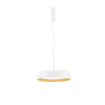 Luces Exclusivas CARACOLLO LE44813 Suspension lumineuse 1x40W/led 3000k IP20 3111lm