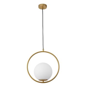 Luces Exclusivas RENGO LE41770 Suspension lumineuse IP20