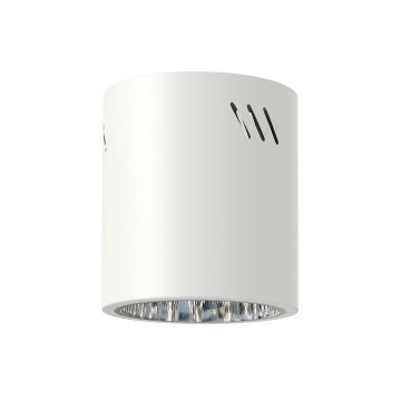 Milagro GEORGE ML0479 Spot en saillie 1x60W/E27 IP20