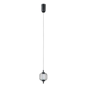 Italux Pedro PND-34405-1-BK Suspension lumineuse 1x4W/LED 3000K 267lm IP20