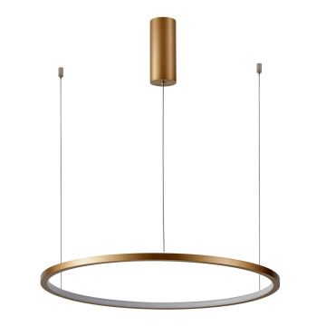 Italux Vinola PND-56135B-100RPP-GD-3KS4K-TRDIMM Suspension lumineuse 1x58W/LED 3000K|4000K 4640lm IP20