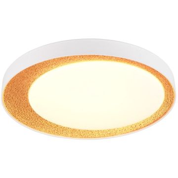 Trio ALETA R64611179 Lampe de plafond 1x24w/led 2700-6500k 2500lm ip20