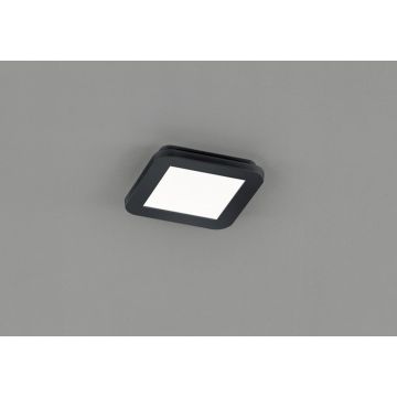 Trio CAMILLUS R62931032 Lampe de plafond 1x10w/led 3000k 850lm ip44