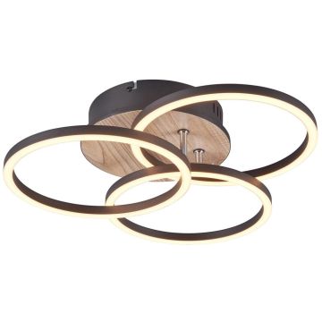 Trio CIRCLE R62823135 Lampe de plafond 1x27w/led 2700-6000K 3200lm ip20