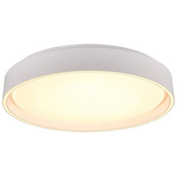 Trio FELIS R64391031 Lampe de plafond 1x24w/led 2700-6500K 2500lm ip20