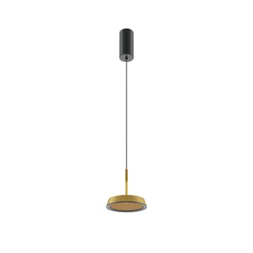 Maytoni El MOD041PL-L15G3K Suspension lumineuse 1x12W/LED 3000K 700lm IP20
