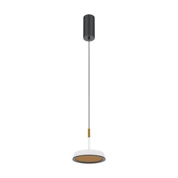 Maytoni El MOD041PL-L15WG3K Suspension lumineuse 1x12W/LED 3000K 800lm IP20