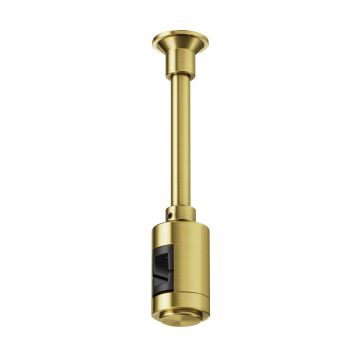 Maytoni Flarity TRA155CW-SL1-BS Suspension