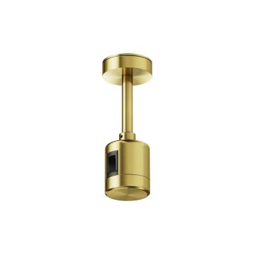Maytoni Flarity TRA156C-IPC1-BS Suspension IP20