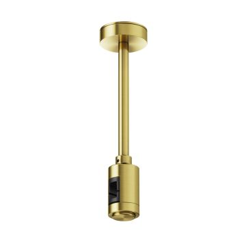 Maytoni Flarity TRA156C-SL1-BS Suspension