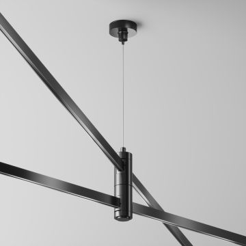 Maytoni Flarity TRA157SW-D1-B Suspension IP20