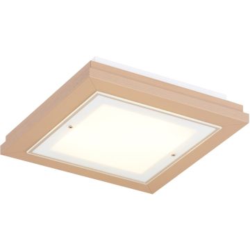Argon TABOR 1866 Lampe de plafond 4x15W/E27 ip20