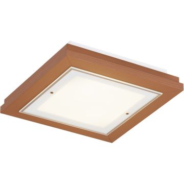 Argon TABOR 1872 Lampe de plafond 4x15W/E27 ip20