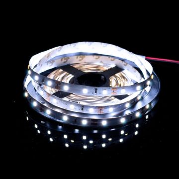 SMD LED PROline TAS4205SLL Ruban LED 60x6W/m/LED 6000K 620 lm/m IP20