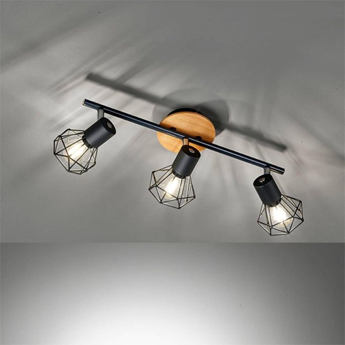 Fischer&Honsel-Ran-21387-FHL21387