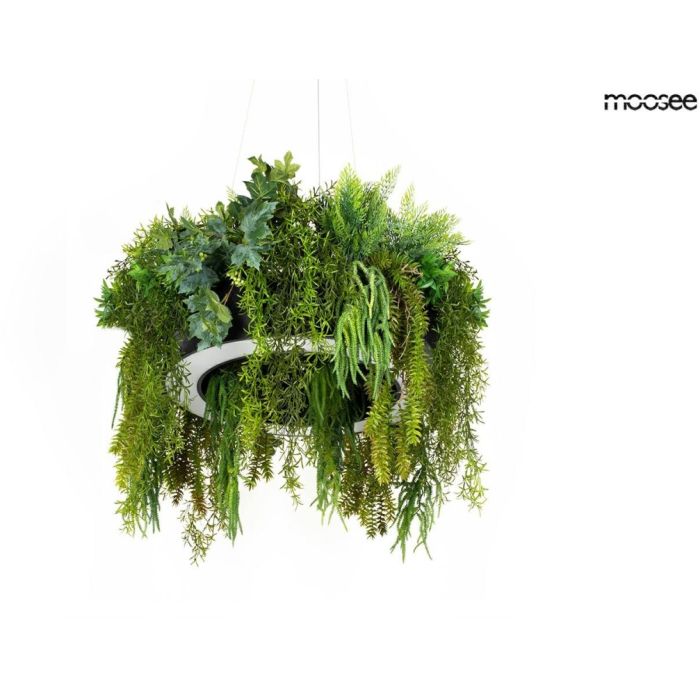 King Home-GARDENS-MSE1501100557-KNGMSE1501100557