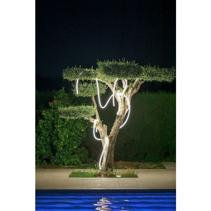 New Garden-NEO-3117-NGR3117