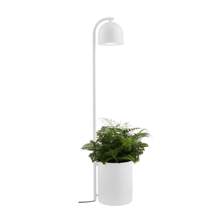 Kaspa-BOTANICA XL-40848101-KAS40848101